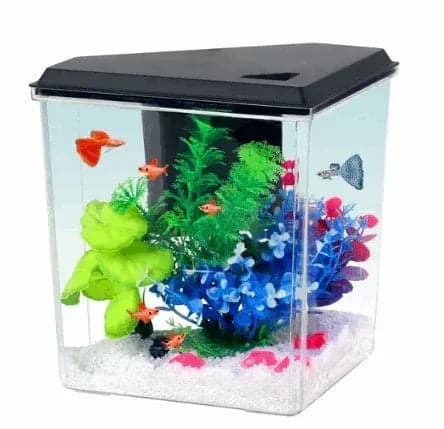 Aqua Culture Plastic 1 Gallon Aquarium with Accessories, Black, 10.1"L x 6.76"W x 8.12"H