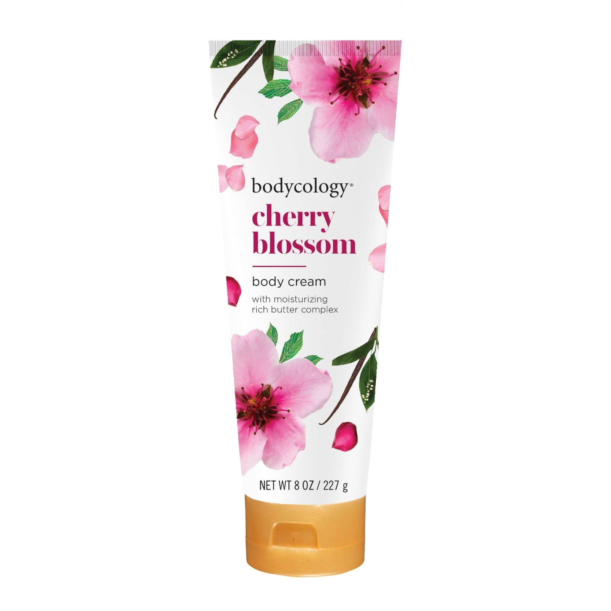 Bodycology Cherry Blossom Shea Butter Body Cream, 8 oz (Pack of 5)