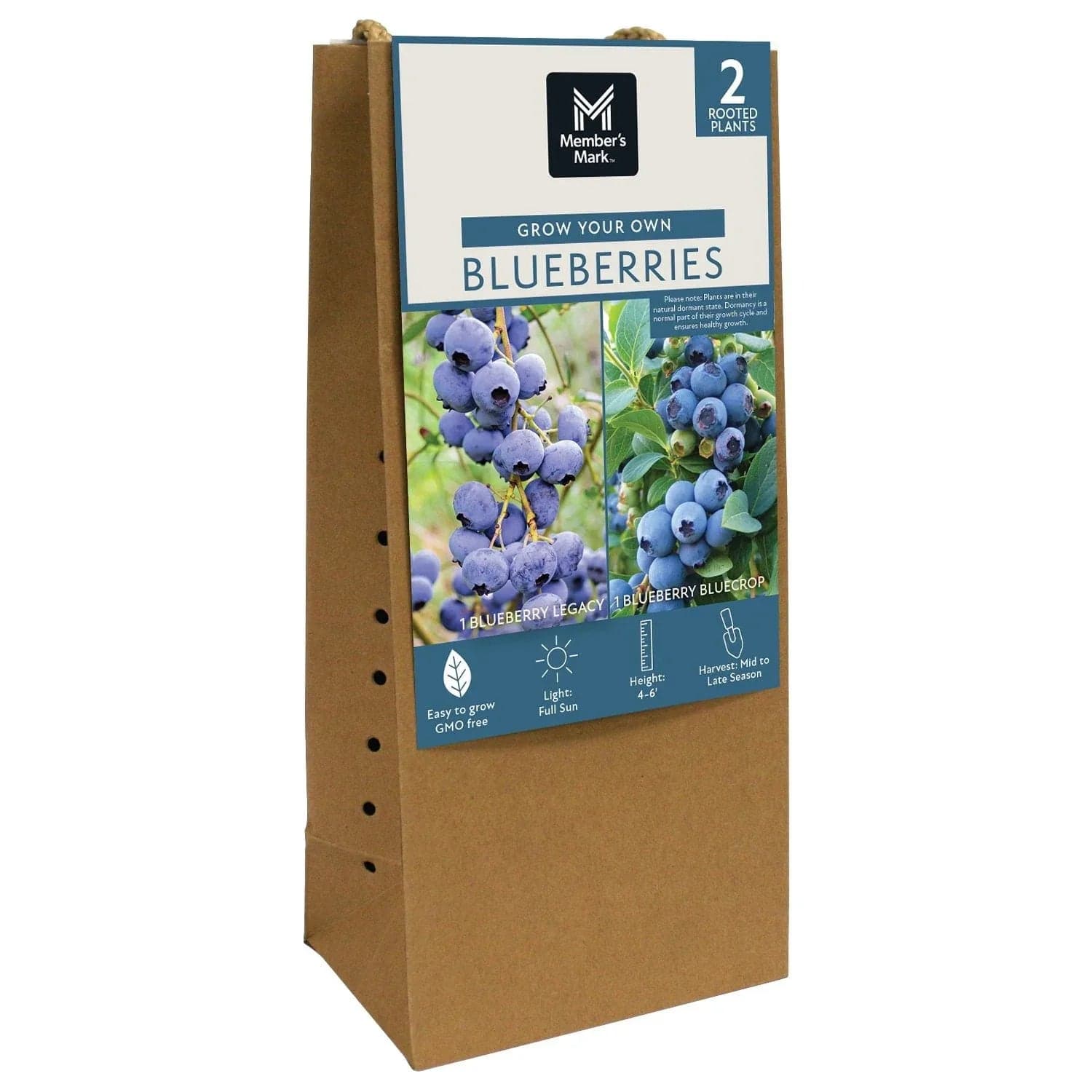Member's Mark Blueberry Legacy & Bluecrop, 2pk