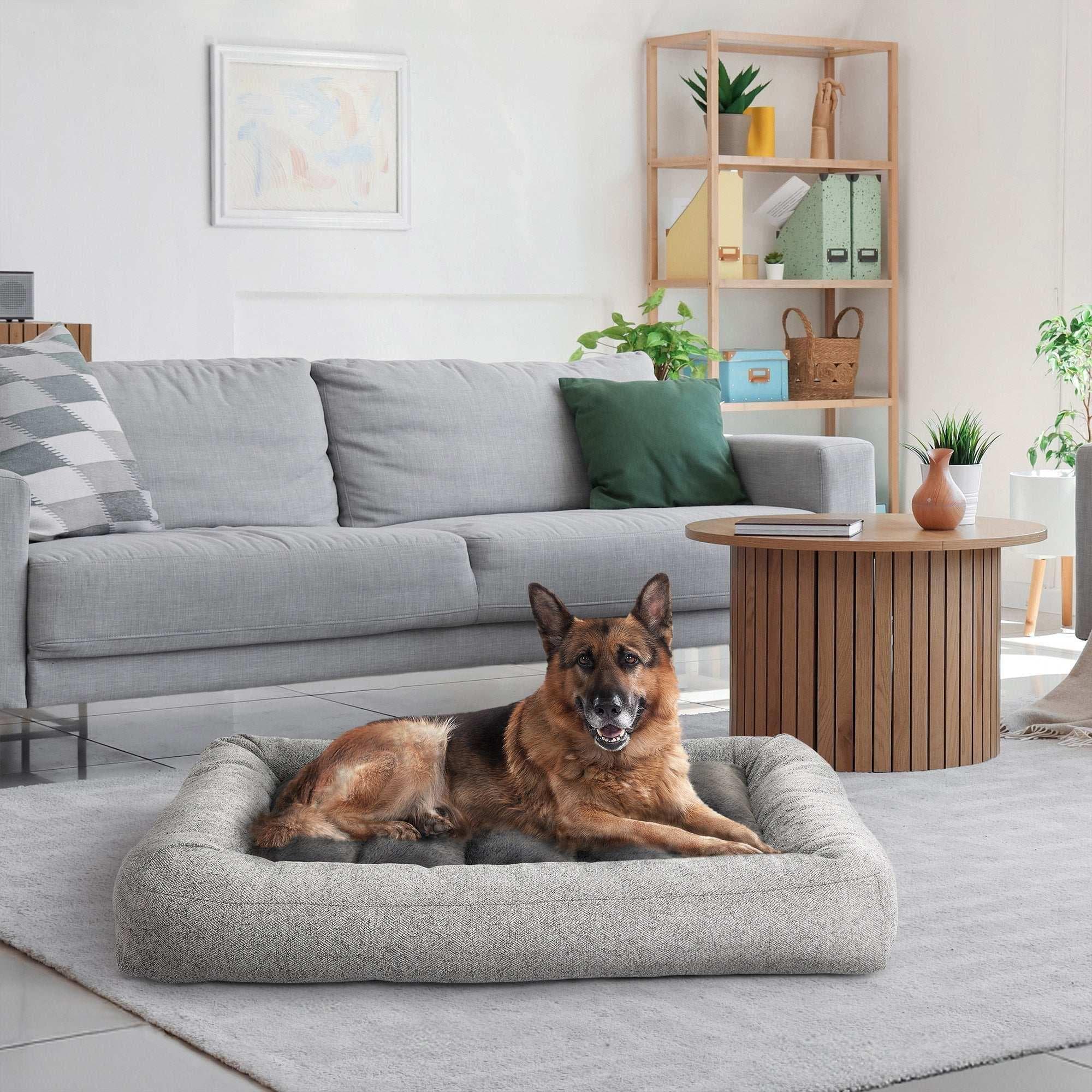 Kirkland Signature 32" x 42" Channeled Bolster Pet Bed
