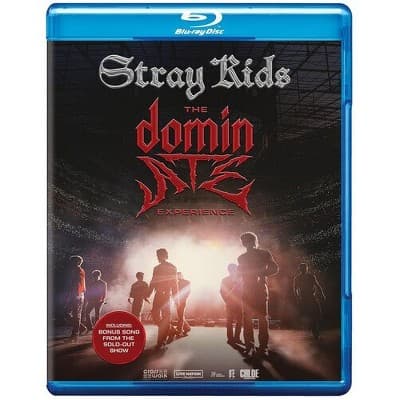 Stray Kids: The dominATE Experience (DVD)